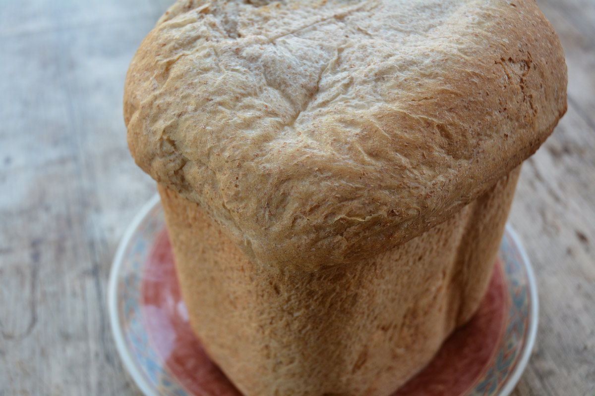 Bread machine wholemeal loaf recipe